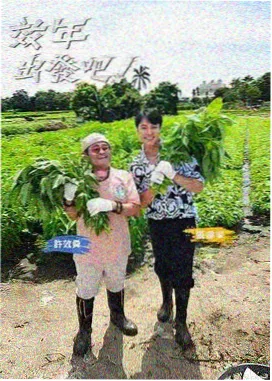 竞技综艺周末不加班条目封面